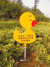 <b>花草牌山東</b>